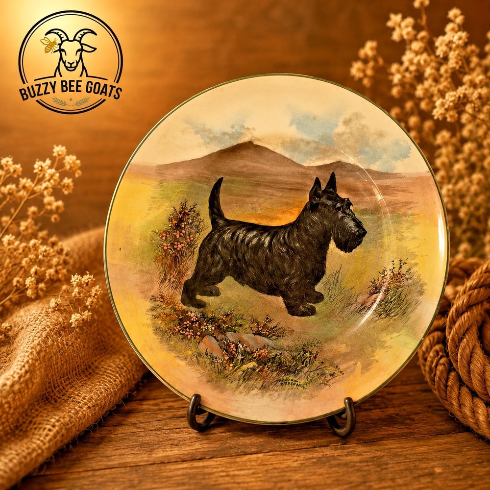 ROYAL DOULTON 10 1/2"  SCOTTIE DOG PLATE D6304 ENGLAND Scottish Terrier